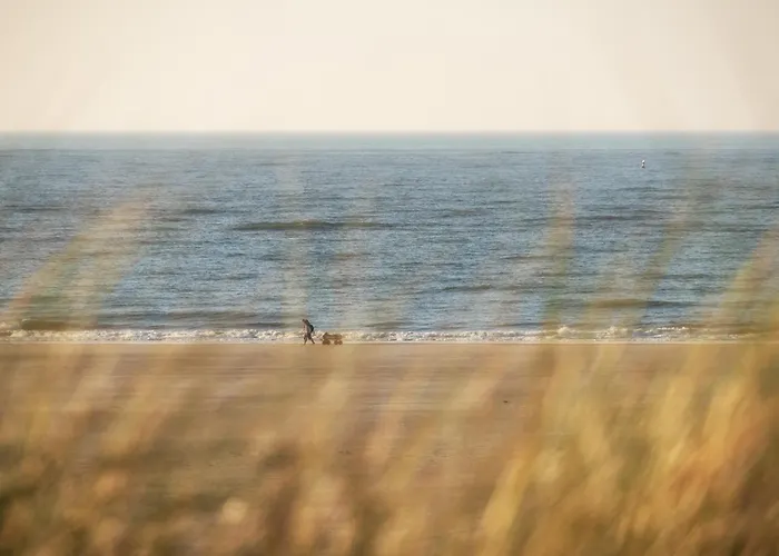 Апартаменты Strandhaus 6 Dg Шпикерог